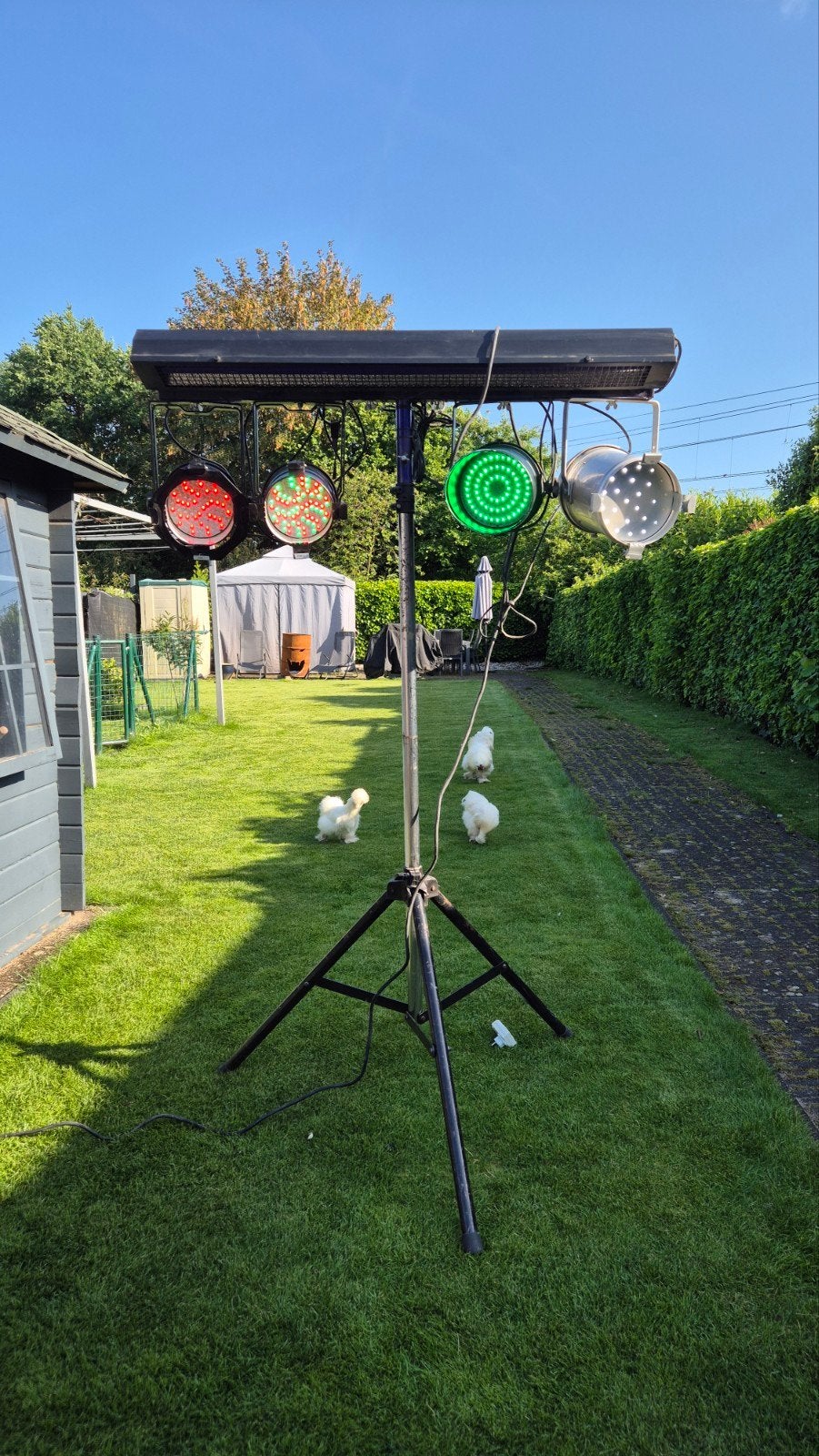 LED discolicht set op statief – Eurolite / Showtec – DMX – U, Ophalen, Gebruikt, Licht