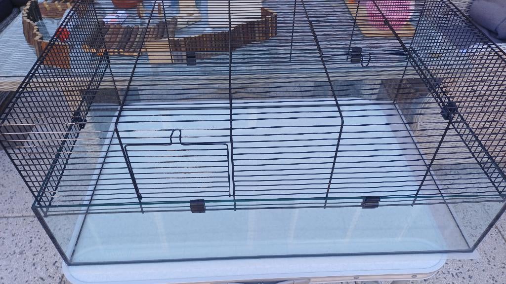 Hamsterkooi groot, Kooi, Gebruikt, Muis, Minder dan 75 cm