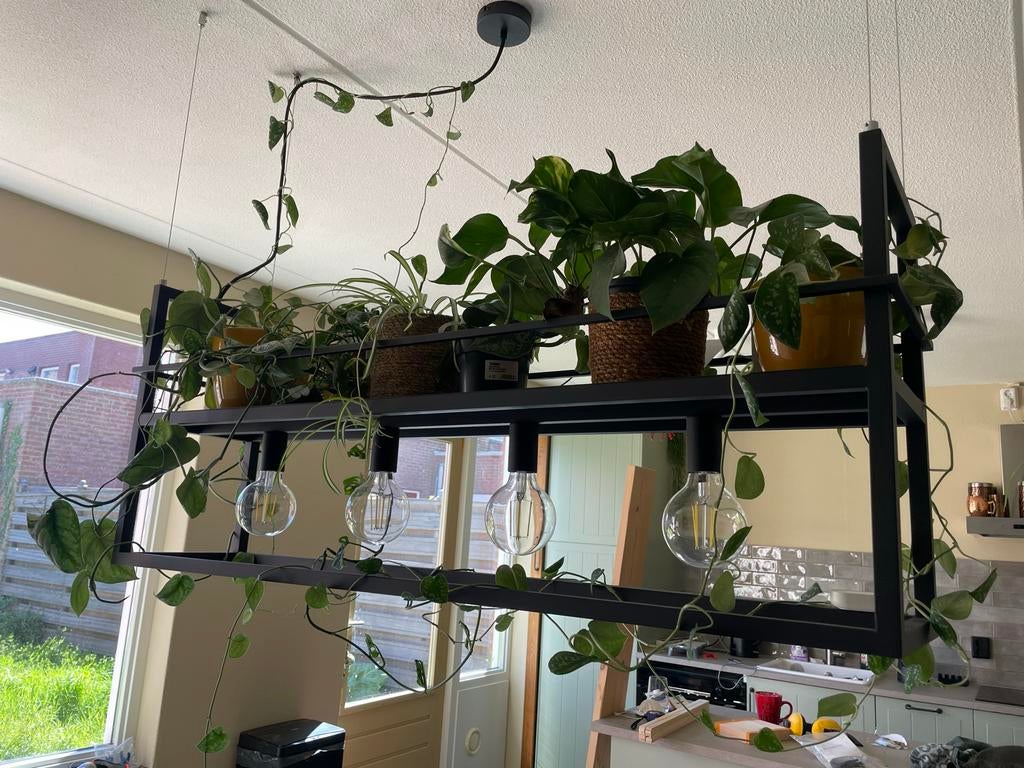 Nieuwe Cage Rack Hanglamp - Ongeopend in de doos, Ophalen of Verzenden, Nieuw, Metaal, Minder dan 50 cm