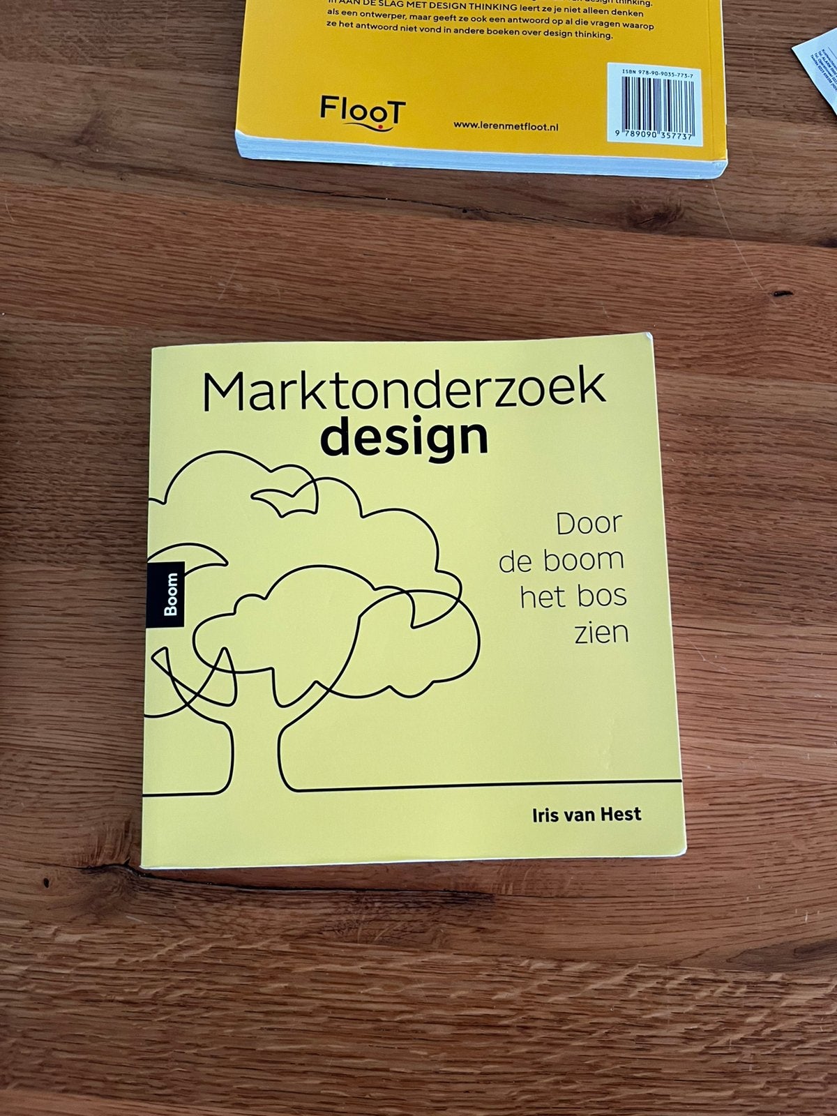 Marktonderzoek design door Iris van Hest, Ophalen of Verzenden, Beta, Zo goed als nieuw, HBO