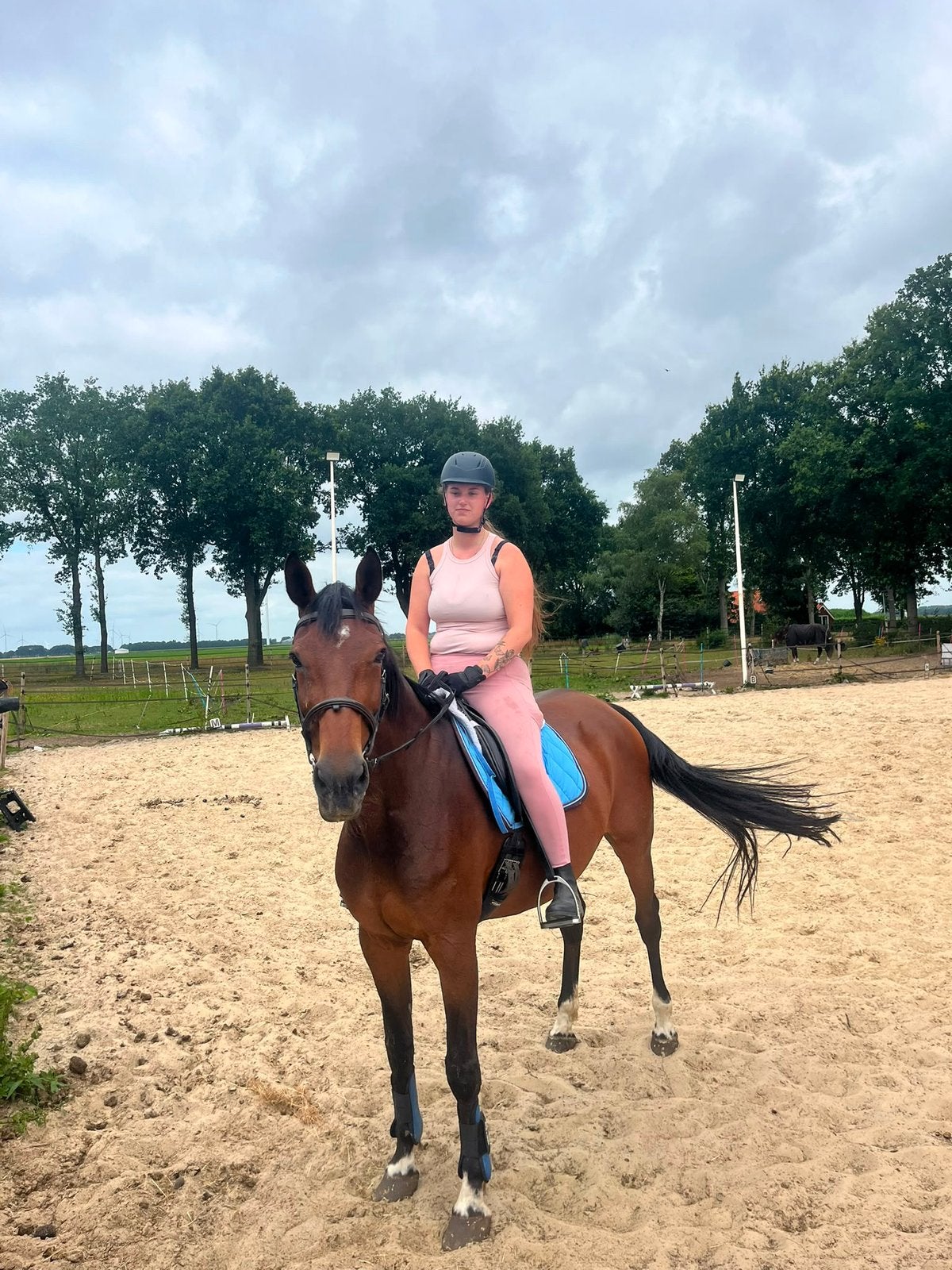 Familie/recreatie paard, Dieren en Toebehoren, Paarden, Merrie, Met stamboom, 11 jaar of ouder, Recreatiepaard