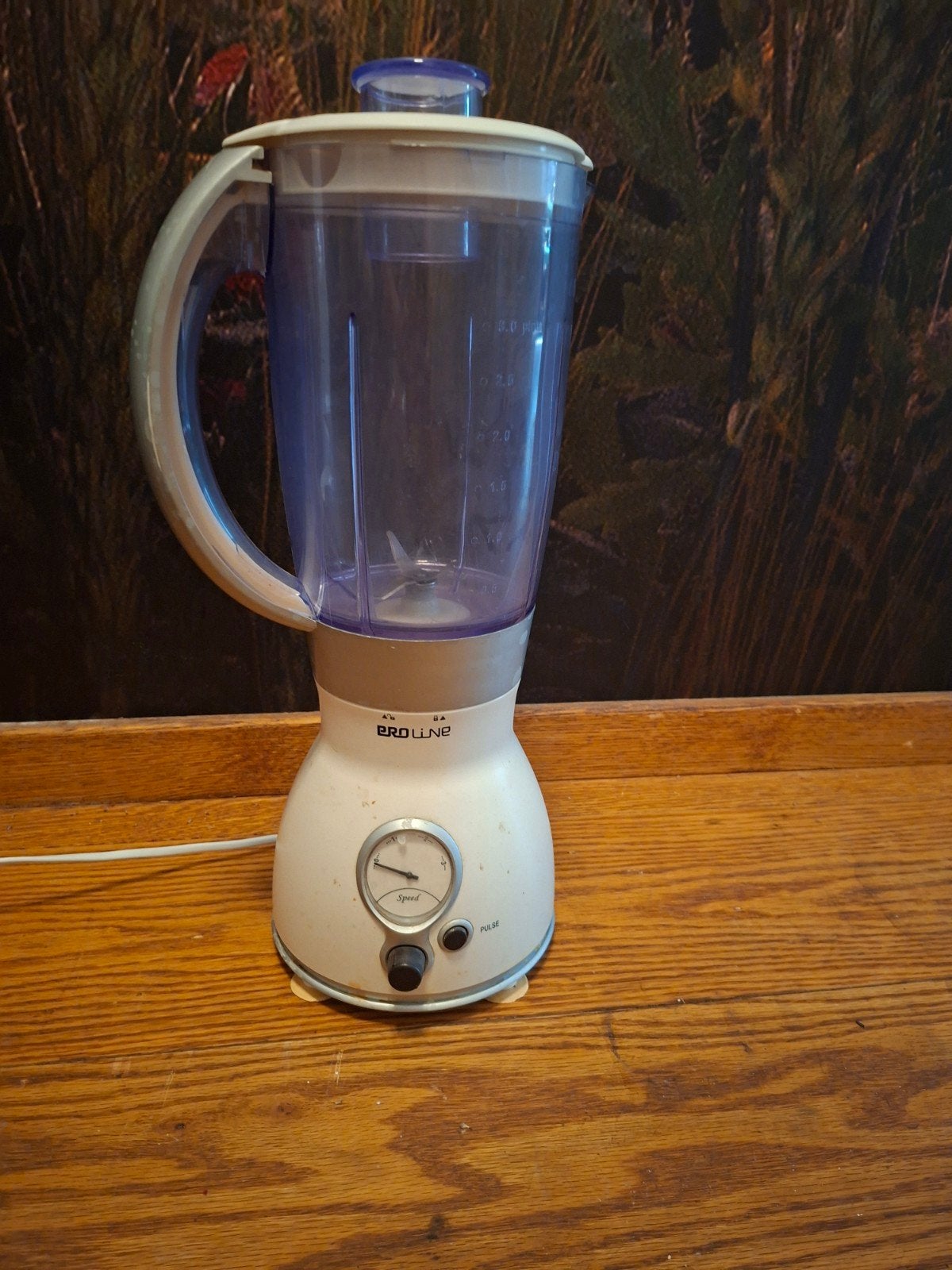 Proline Blender - Gebruikt maar functioneel, Witgoed en Apparatuur, Ophalen
