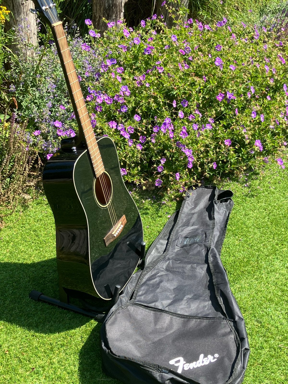 Fender Westerngitaar met standaard en hoes, Ophalen, Zo goed als nieuw, Western- of Steelstringgitaar