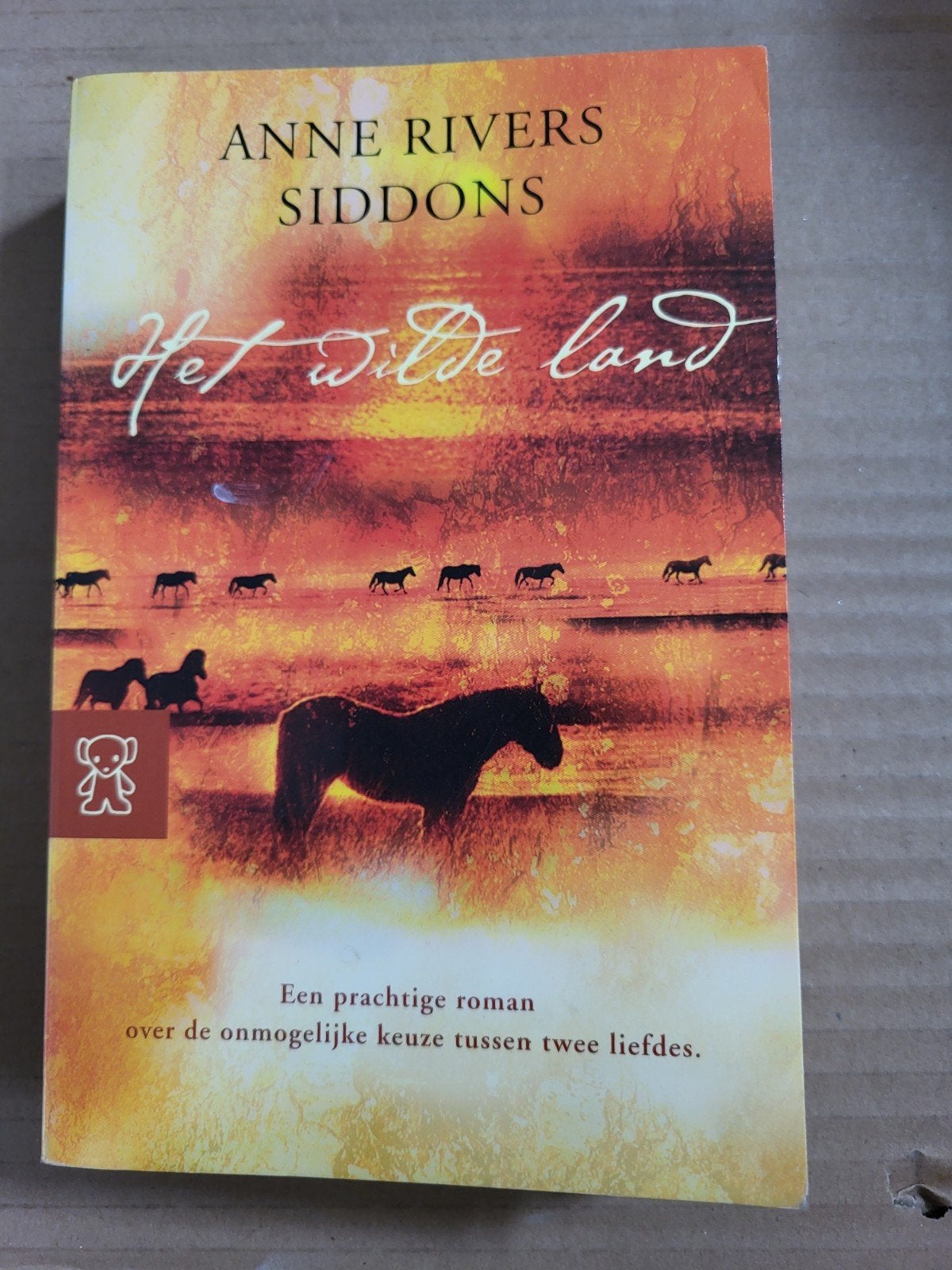 Het Wilde Land - Anne Rivers Siddons (Roman), Boeken, Ophalen of Verzenden, Gelezen, Anne Rivers Siddons, Amerika