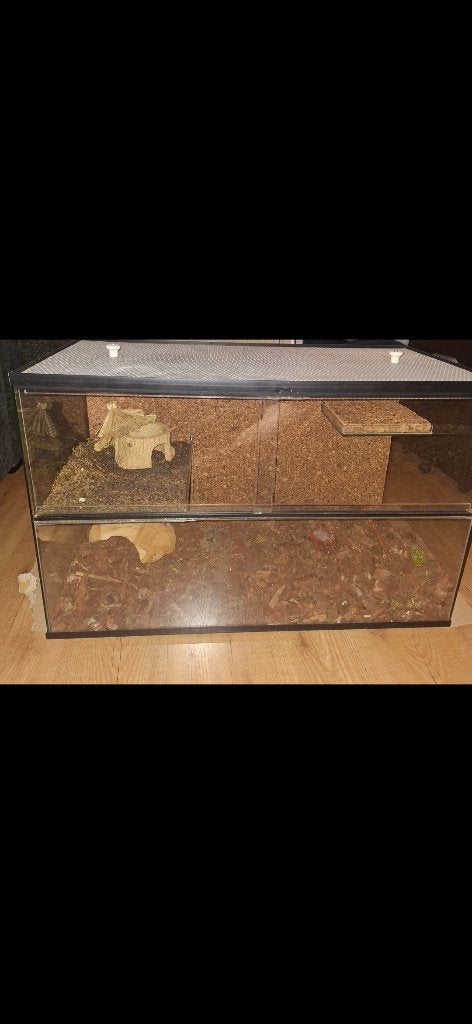 Knaagdier terrarium €50, Dieren en Toebehoren, Gebruikt, Overige typen, Hamster, 75 tot 110 cm
