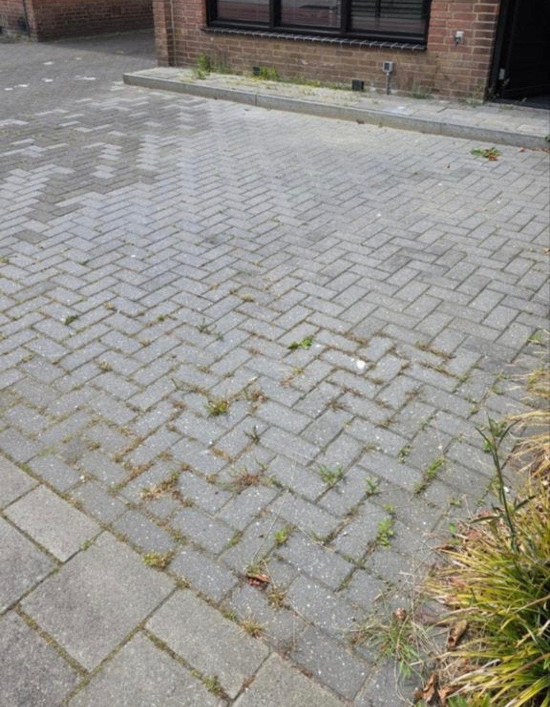 Gebruikte betonnen klinkers en terrastegels, Ophalen of Verzenden, Gebruikt, Beton, Klinkers