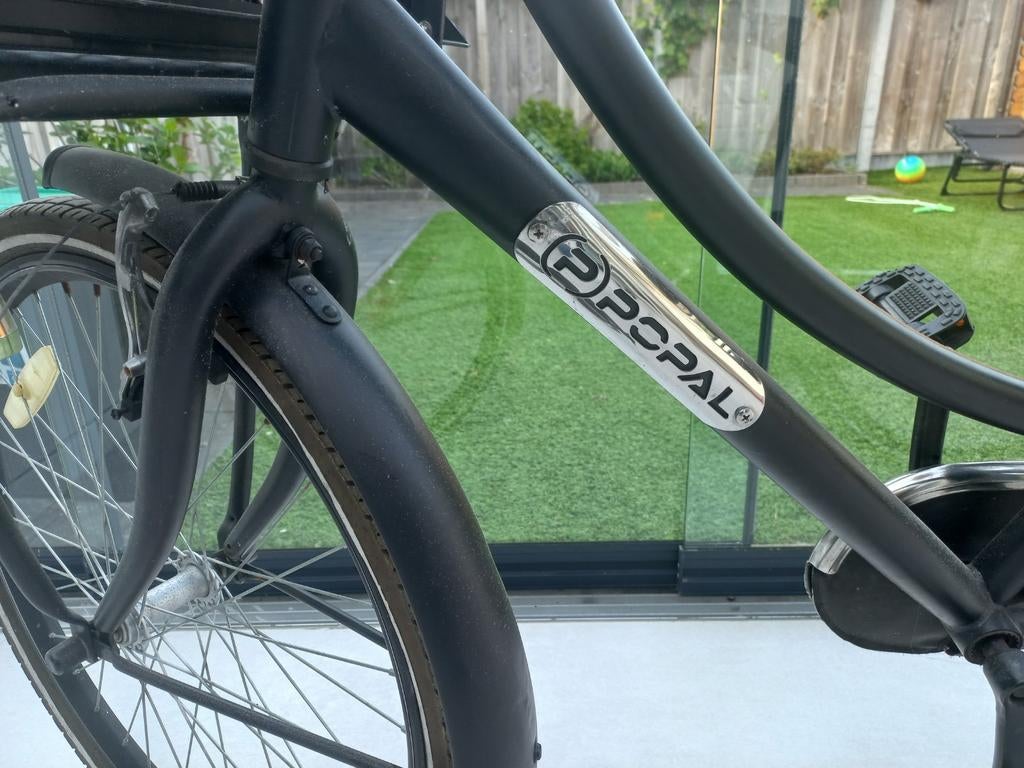 Fiets popal, Fietsen en Brommers, Elektrische fietsen, Ophalen, Gebruikt, Overige merken