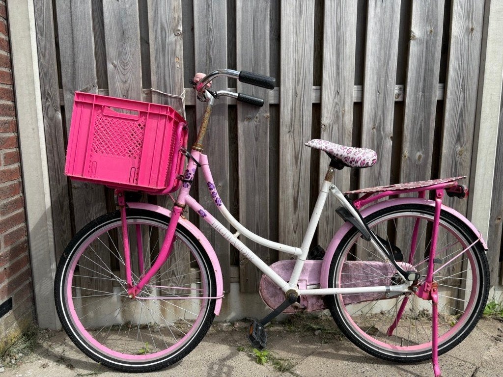 Roze meisjesfiets met voorkrat, Ophalen, Gebruikt, 20 inch