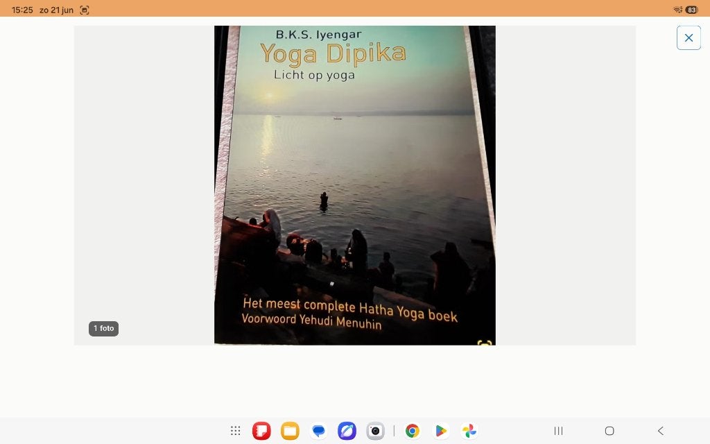 Te koop boek van yoga dipika ( licht op yoga ), Ophalen, Zo goed als nieuw, Overig