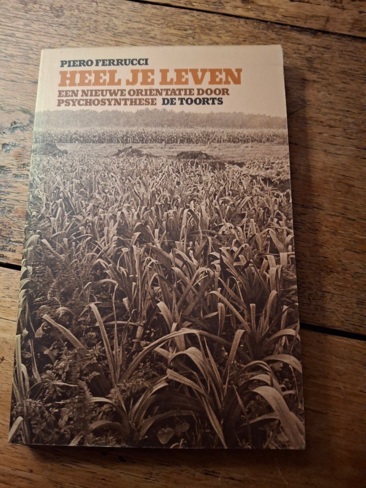 P. Ferrucci. Heel je leven., Ophalen of Verzenden, Gelezen