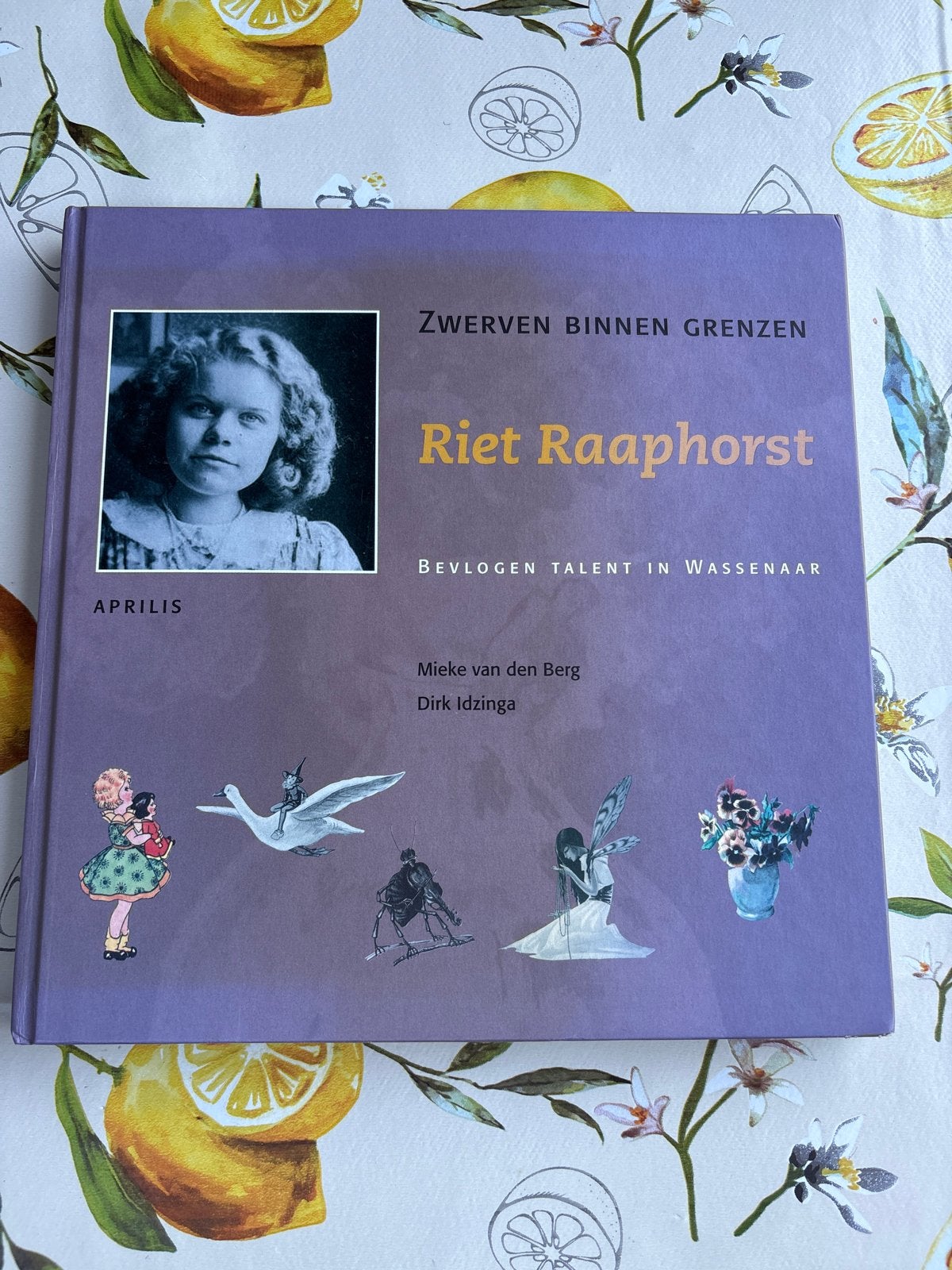 ZWERVEN BINNEN GRENZEN - Riet Raaphorst, Ophalen of Verzenden, Zo goed als nieuw, Kunst en Cultuur