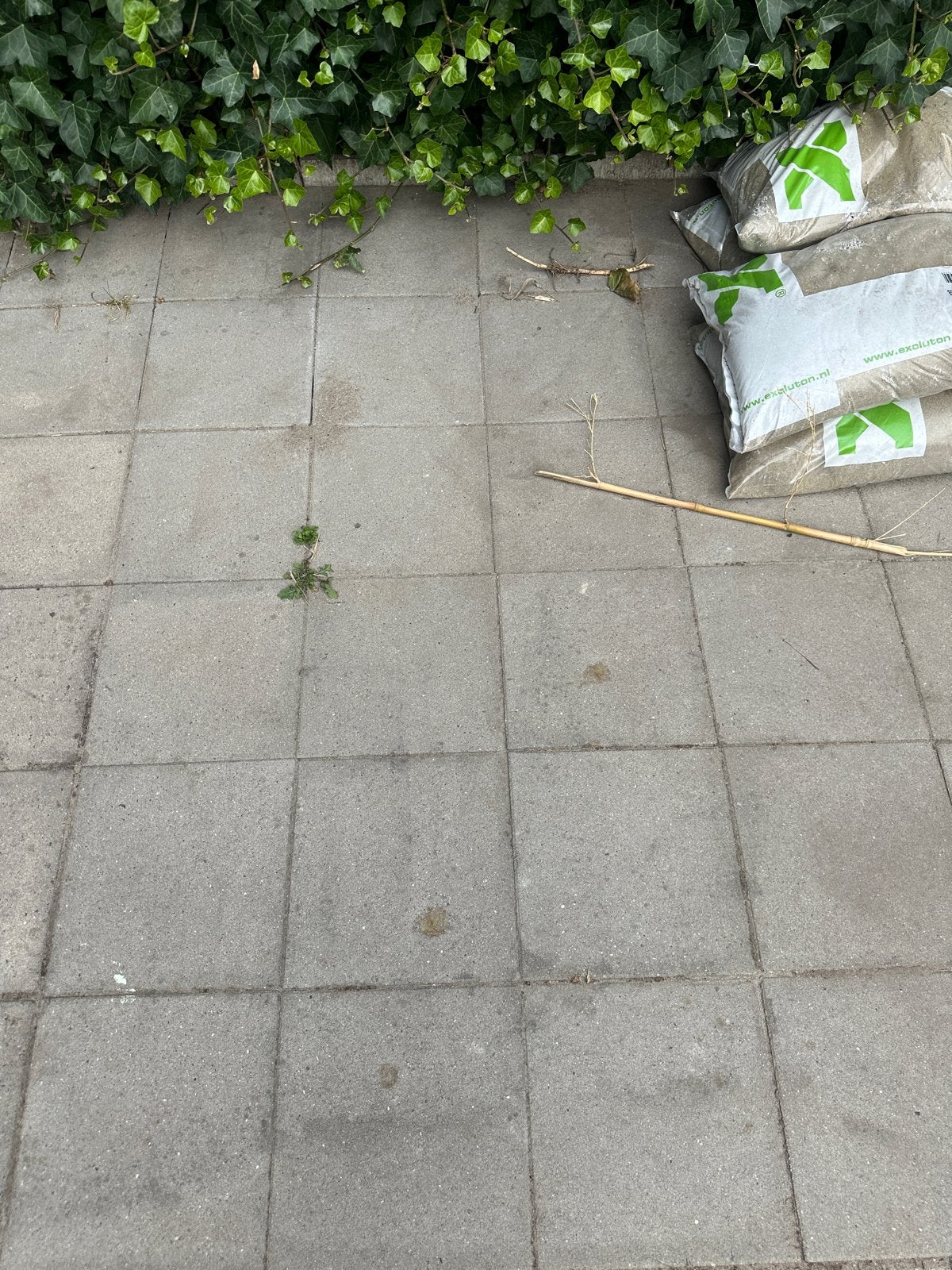 Gratis af te halen: ca. 156 betonnen terrastegels (30x30 cm), Ophalen, Gebruikt, 10 m² of meer, Beton