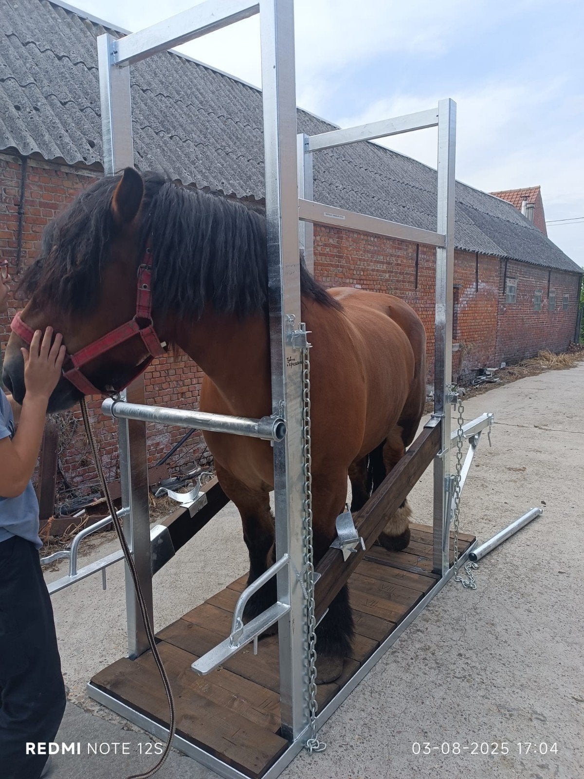 hoefstal, bekapbox paard, Dieren en Toebehoren, Ophalen, Nieuw