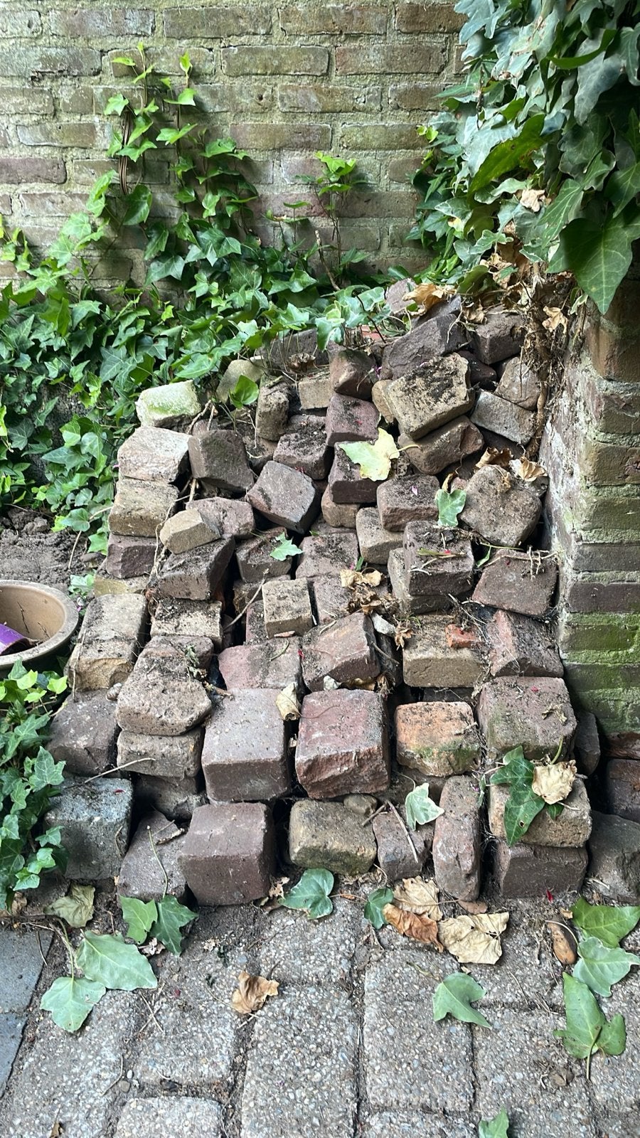 Gratis afhalen: 3m2 gebruikte bakstenen voor tuin, Doe-het-zelf en Verbouw, Metselstenen, Ophalen, Gebruikt, Bakstenen