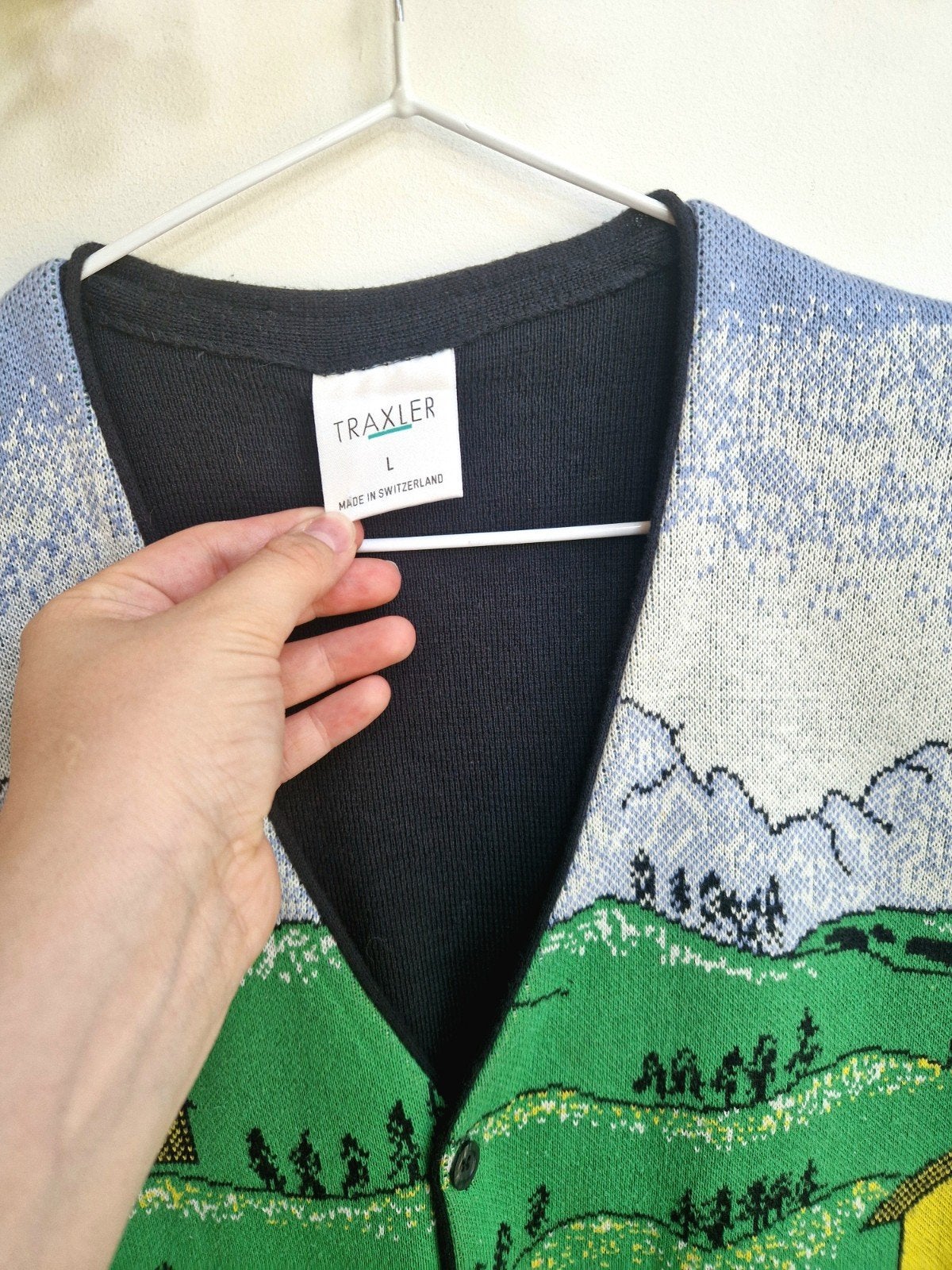 Super zeldzaam schattig vintage tirol / trachten gilet, Ophalen of Verzenden, Zo goed als nieuw, Maat 46/48 (XL) of groter, Groen