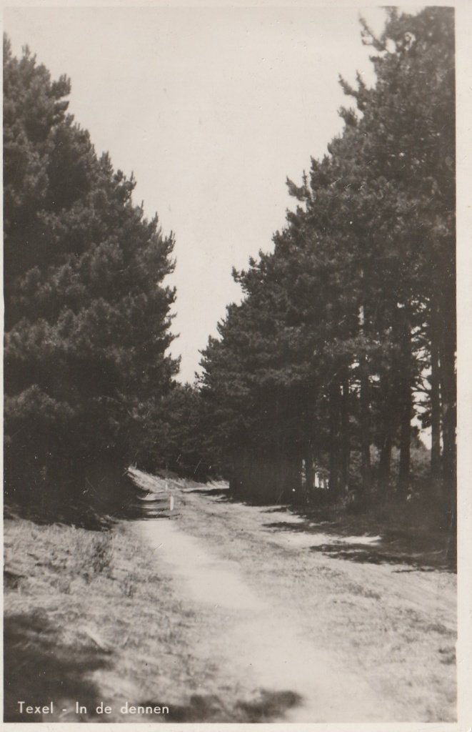TEXEL In de Dennen, Verzenden, 1940 tot 1960, Ongelopen, Waddeneilanden