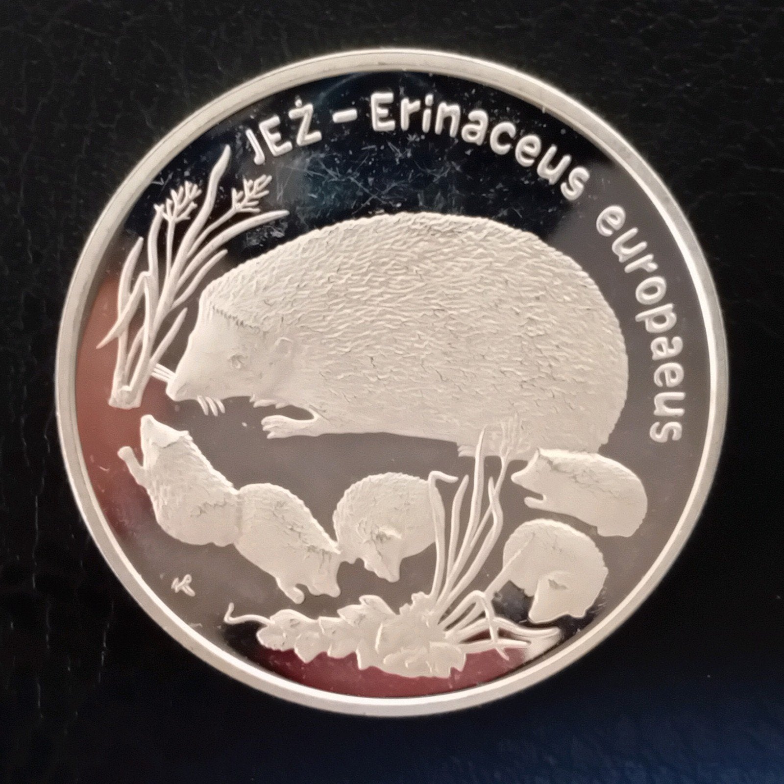 20 zl 1996 Polen Zilver Jez, Ophalen of Verzenden, Polen, Zilver
