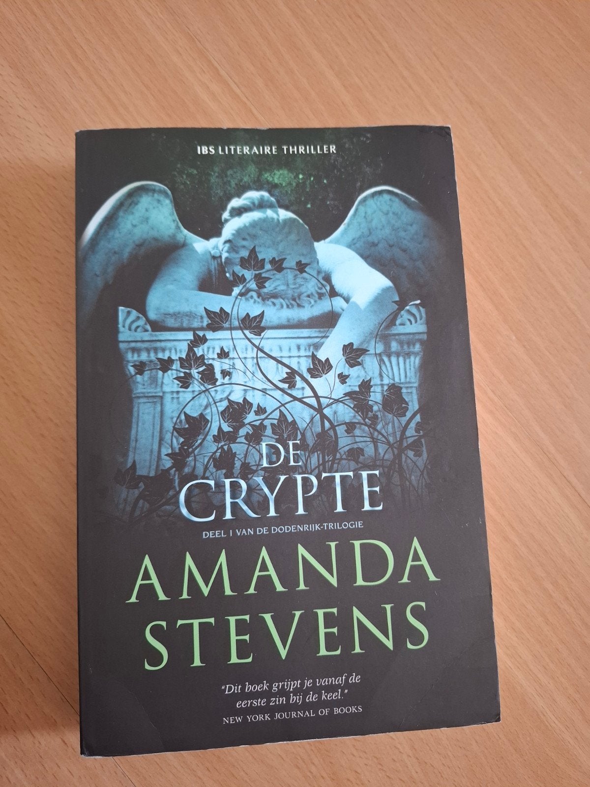 Amanda Stevens - De crypte, Boeken, Ophalen of Verzenden, Gelezen, Amanda Stevens