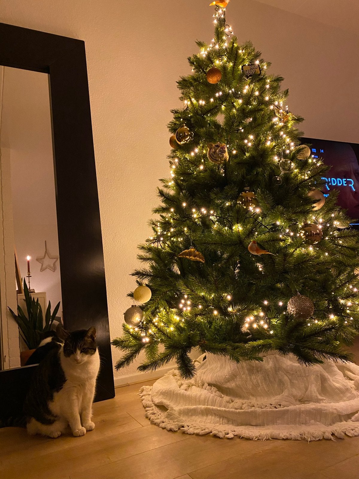 Luxe kerstboom intratuin 185 cm, Ophalen, 20 m² of meer, -, -
