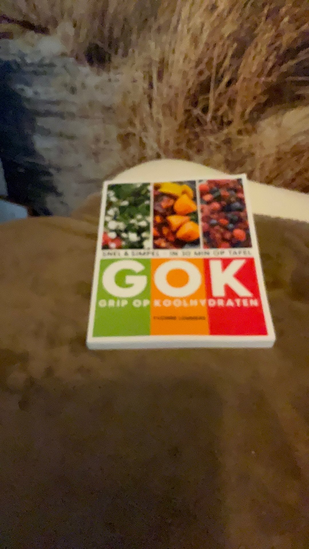 Grip op koolhydraten  boek nieuw, Boeken, Overige typen, Nieuw, Ophalen of Verzenden, Nederland en België