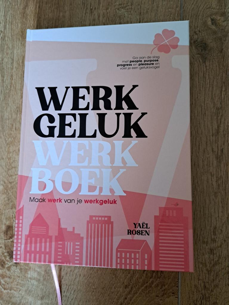WERKGELUK WERKBOEK - Maak werk van je werkgeluk, Boeken, Ophalen of Verzenden, Zo goed als nieuw, Yaël Rosen
