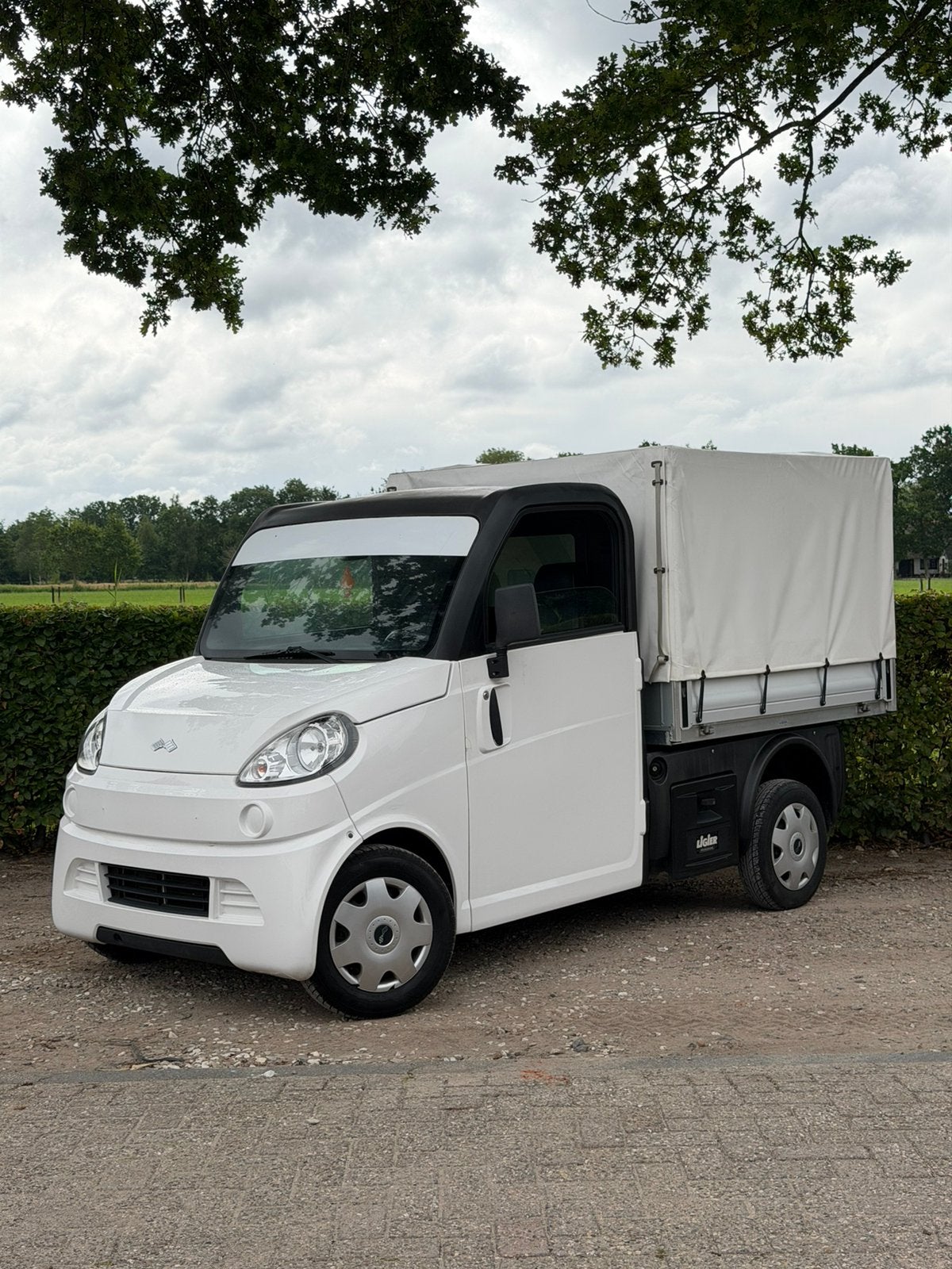 Ligier FLEX Truck | Unieke conditie 1e eigenaar 45KM Brom