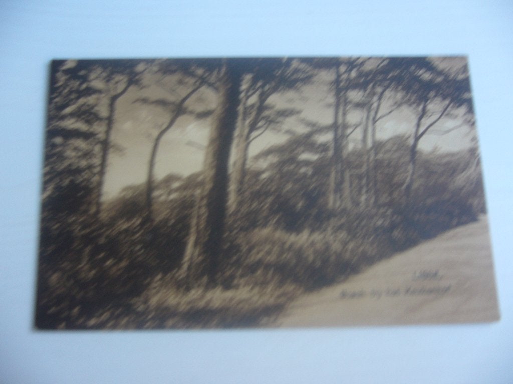 LISSE  =  BOSCH BIJ HET KEUKENHOF, Ophalen of Verzenden, 1920 tot 1940, Ongelopen, Gelderland
