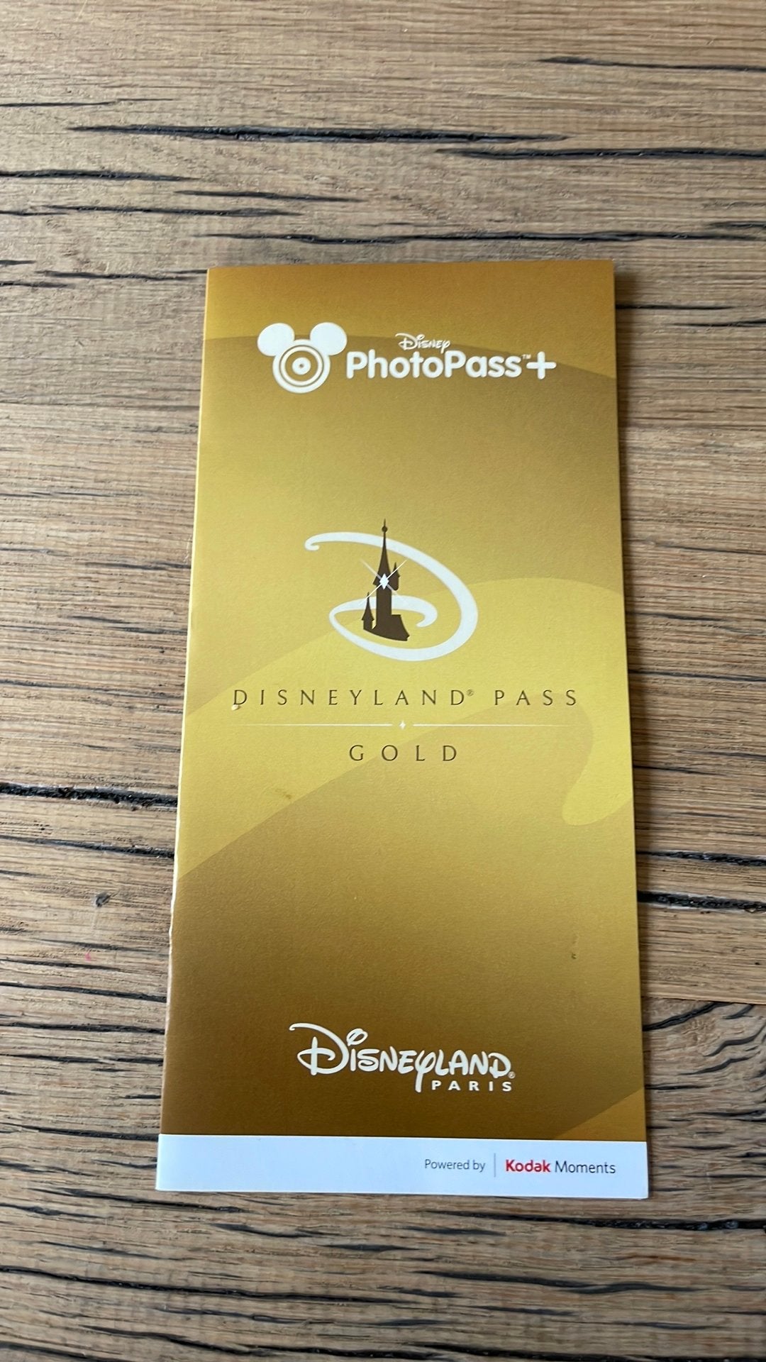 Photopass+ Disneyland Paris, Ophalen of Verzenden, Overige figuren, Nieuw