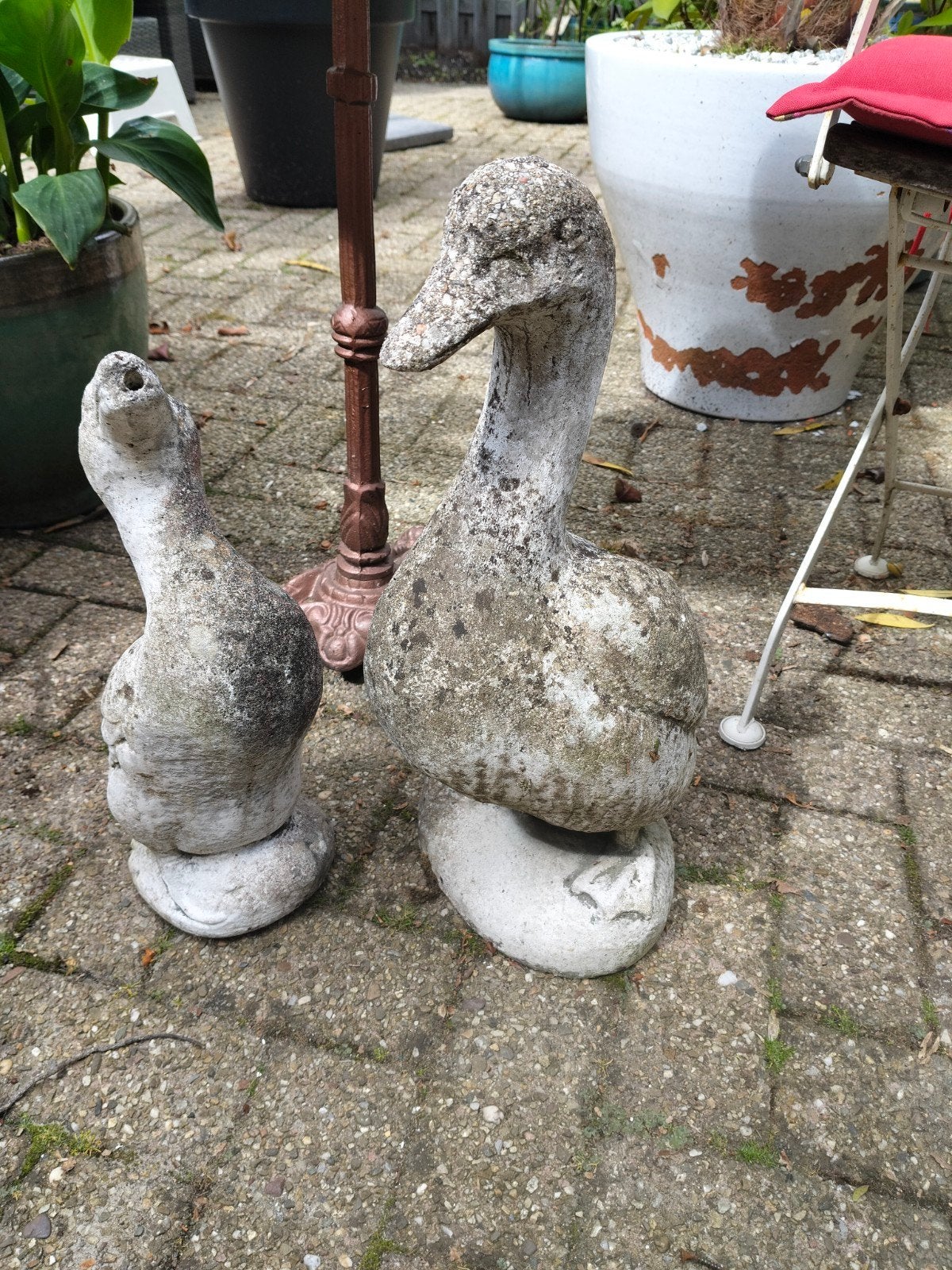 Ganzen beelden duo tuinbeelden beton, Ophalen