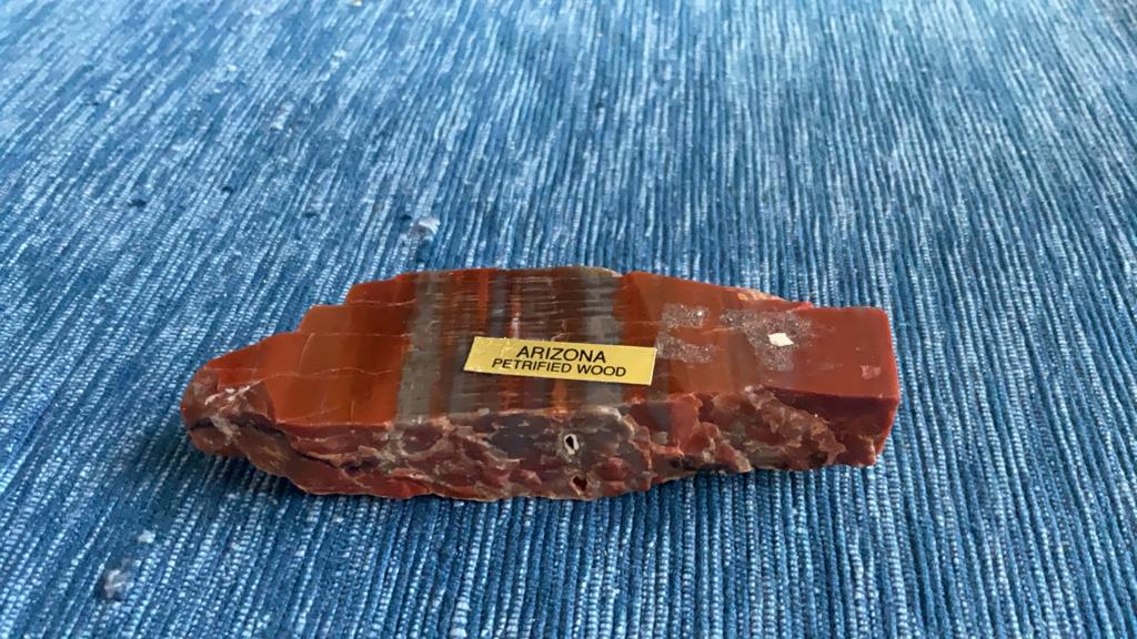 Versteend hout Arizona Petrified Wood .   Ophalen, Ophalen, Fossiel