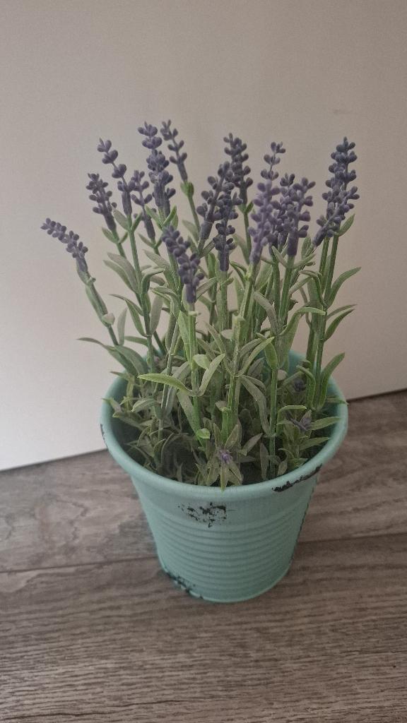 Nepplant lavendel, Paars, Onderhoudsvrij, Kunstplant, Overige materialen
