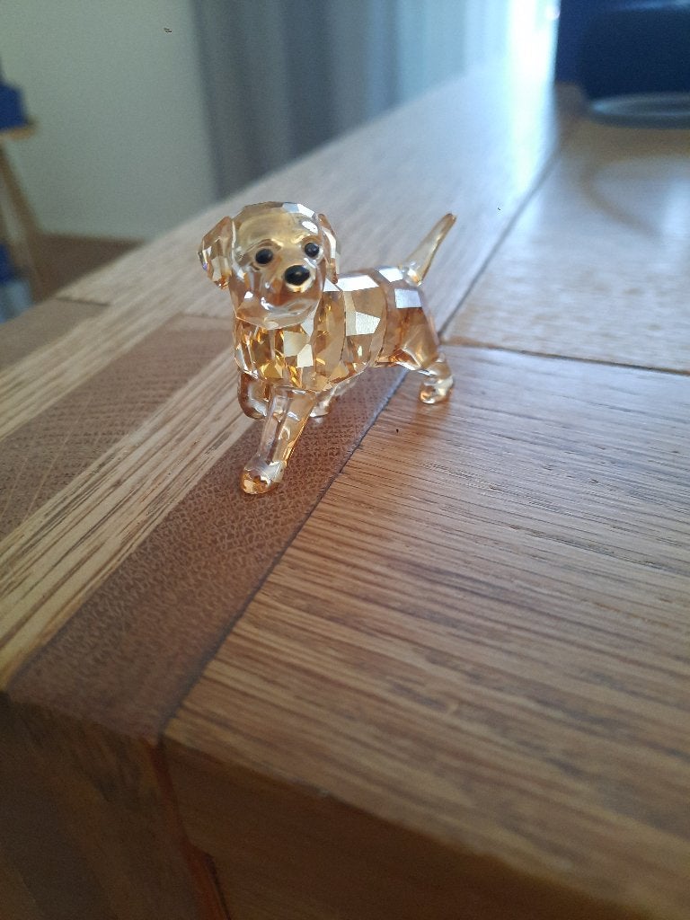 Swarovski. Golden retriever puppy, Ophalen of Verzenden, Zo goed als nieuw, Figuurtje