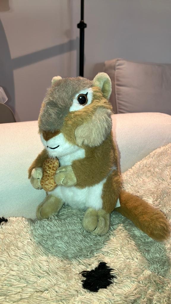 Eekhoorn stuffed animal house, Overige typen, Ophalen of Verzenden, Zo goed als nieuw, Klein (minder dan 20 cm)