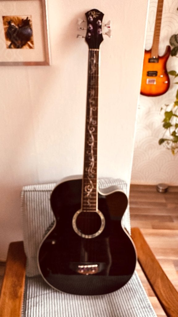 Michael Kelly Dragonfly Bass 5 string, Ophalen, Zo goed als nieuw, Semi-akoestisch, 5-snarig