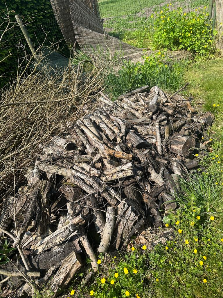 GRATIS houtblokken en takken voor brandhout of decoratie, Tuin en Terras, 3 tot 6 m³, Ophalen, Overige houtsoorten, Blokken