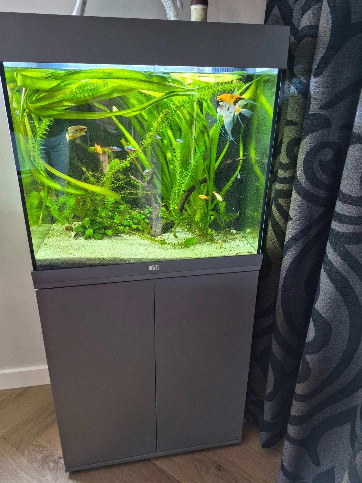 juwel aquarium 120 liter met kast, Dieren en Toebehoren, Ophalen, Zo goed als nieuw