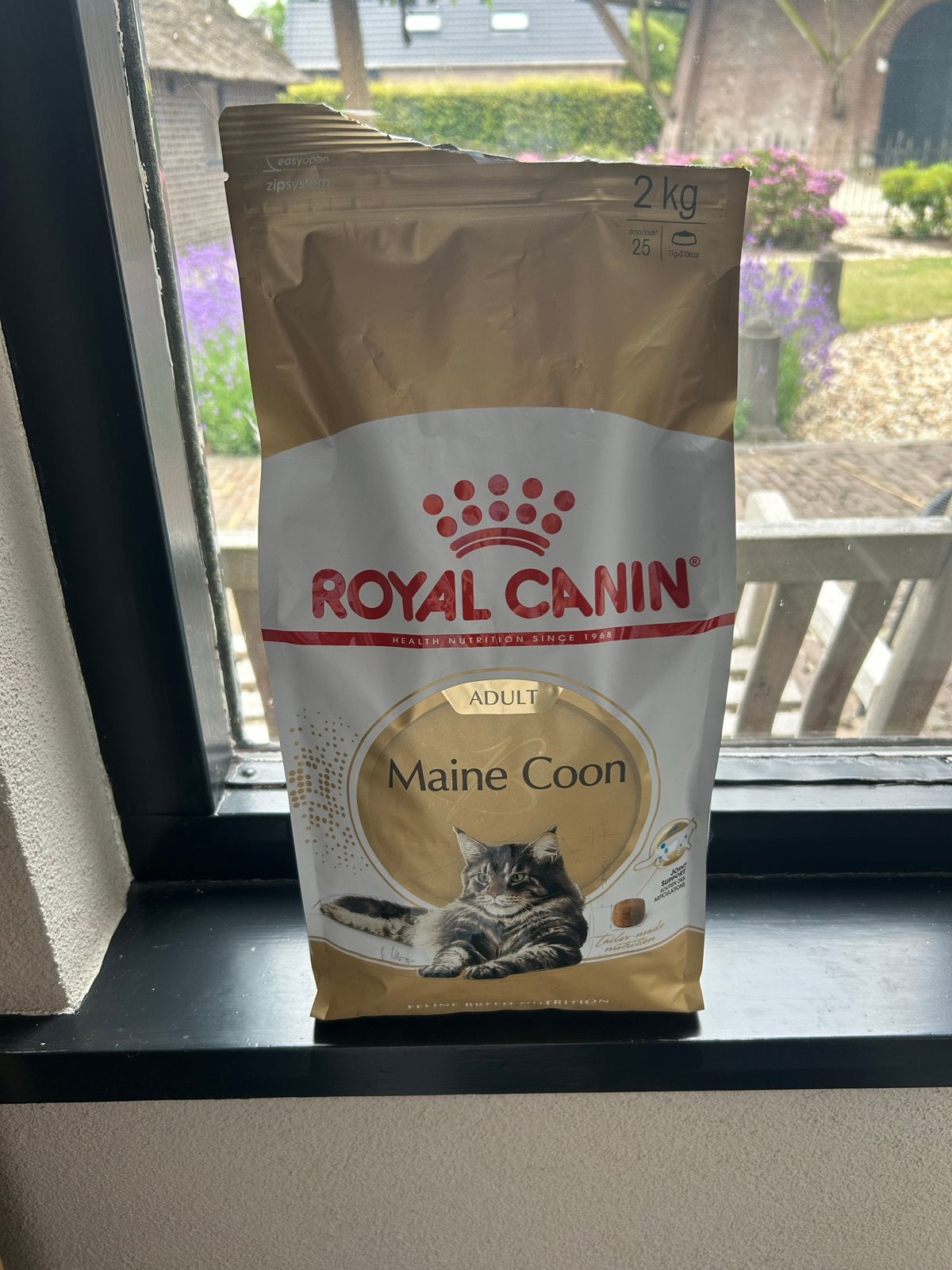 Royal canin maine coon adult brokken 2kg, Dieren en Toebehoren, Dierenvoeding, Ophalen of Verzenden, Kat