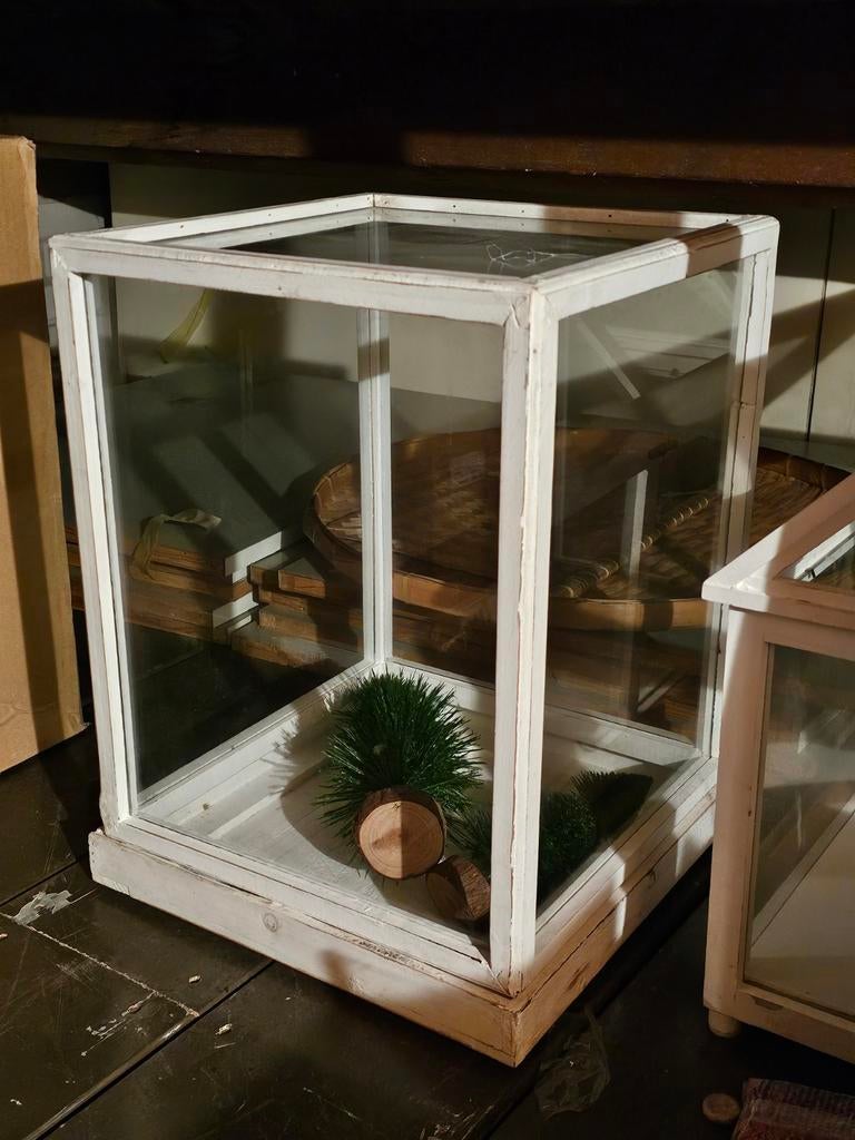 Vierkante glazen stolp/kas, Huis en Inrichting, Woonaccessoires | Stolpen, Ophalen, Zo goed als nieuw