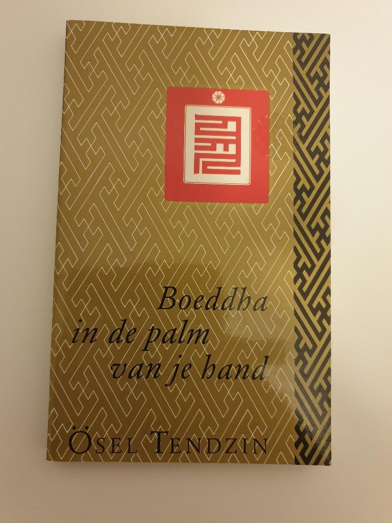 Boeddha in de palm van je hand, Ophalen of Verzenden, Zo goed als nieuw, Achtergrond en Informatie