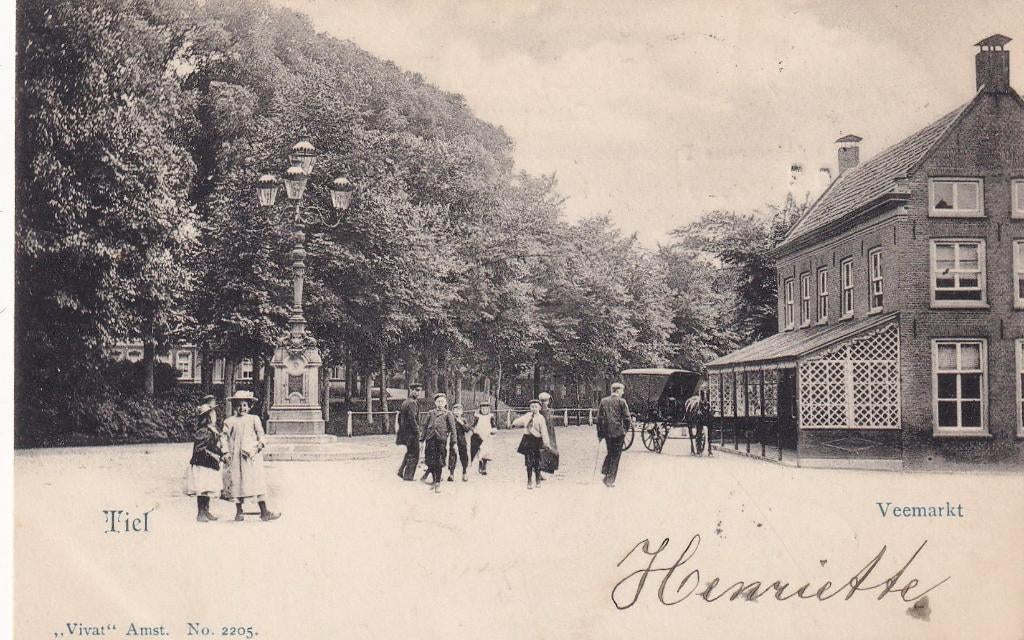 Tiel, Veemarkt., Verzenden, Voor 1920, Gelopen, Gelderland
