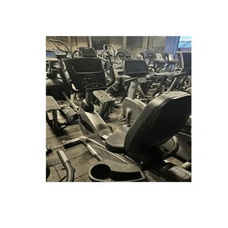 True – Z8 – Recumbent Bike