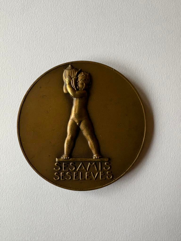 Dammann, P.M. Brons medal, medaill,  penning 80mm., Ophalen of Verzenden, Brons