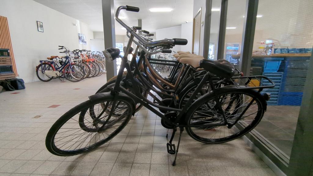 Oma fietsen heren fietsen dames fietsen zeer grote voorraad, Fietsen en Brommers, Fietsen | Dames | Damesfietsen, Zo goed als nieuw