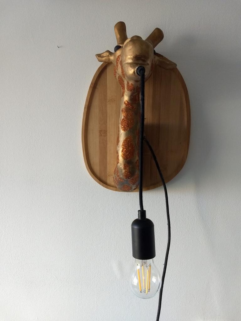 Leuke hang lamp, Ophalen of Verzenden, Zo goed als nieuw
