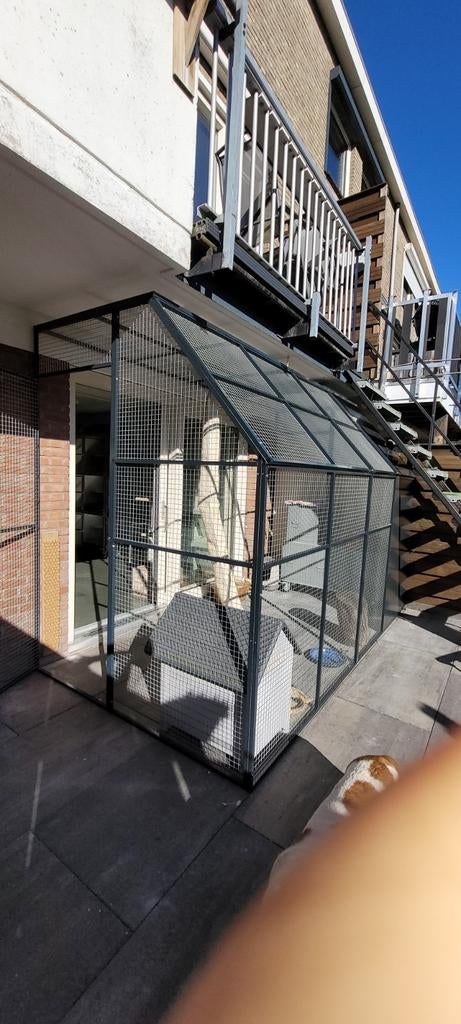 kattenpension nog een paar plekjes voor zomer