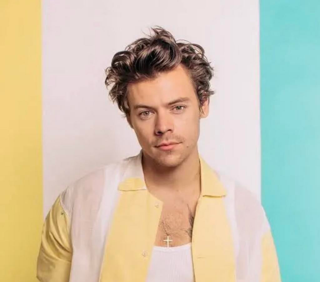 Harry Styles 22 mei incl parkeerkaart, Tickets en Kaartjes, Concerten | Pop, Twee personen, Mei