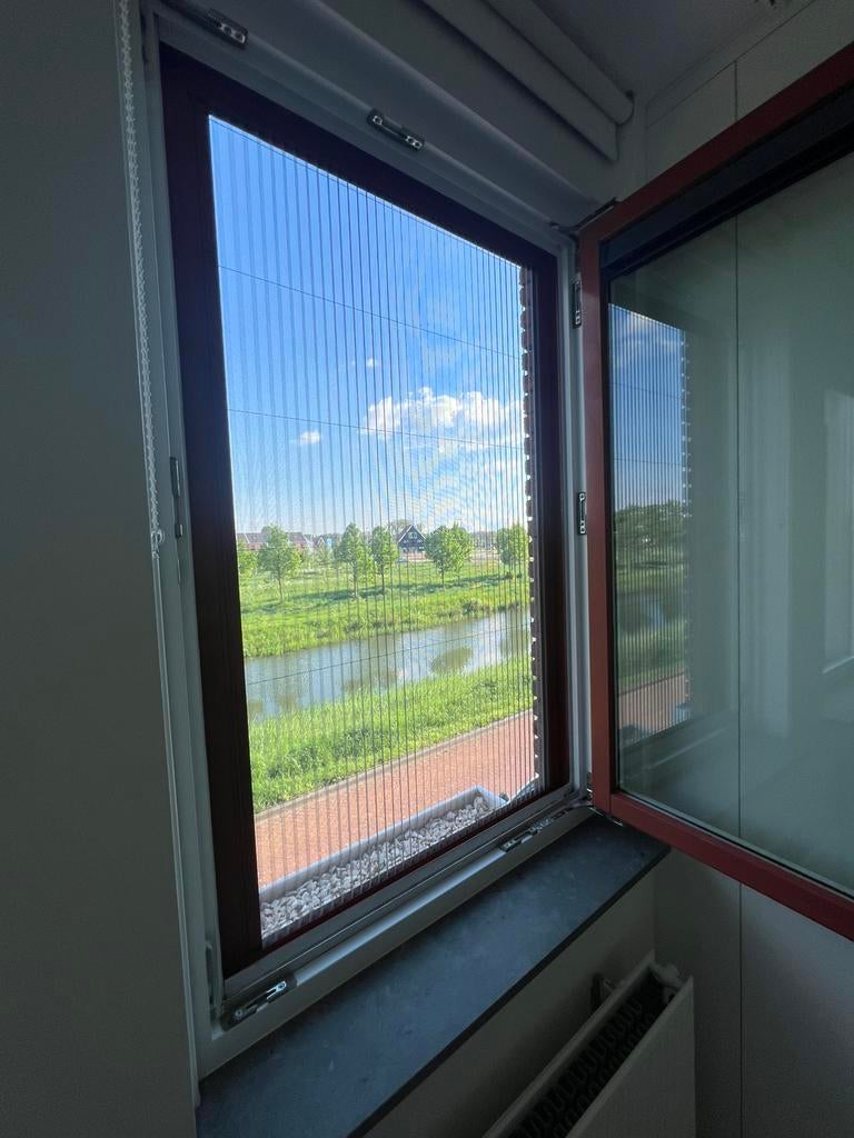 PLISSE HORDUER EN RAAMHOR VANAF 70 EURO, Doe-het-zelf en Verbouw, Deuren en Horren, Ophalen of Verzenden, Nieuw, Hordeur