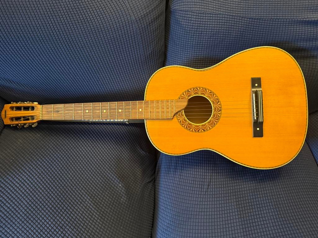 Welton Gitaar, Muziek en Instrumenten, Ophalen, Gebruikt