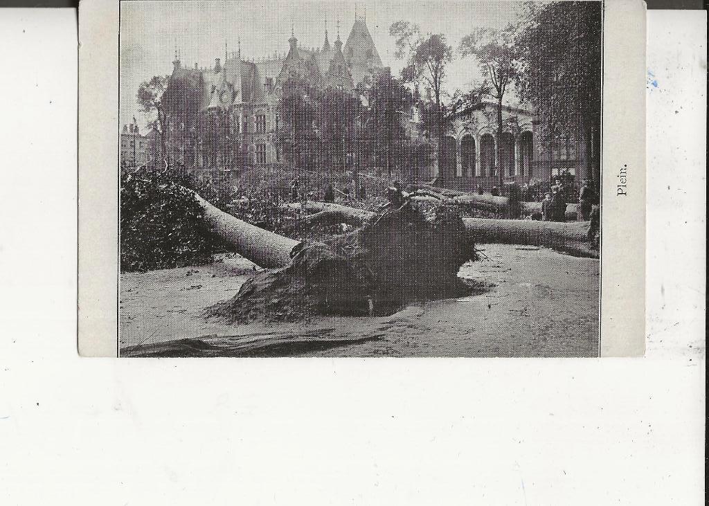 Den Haag Plein met ontwortelde bomen na de storm 1911, Ophalen of Verzenden, Voor 1920, Ongelopen, Zuid-Holland
