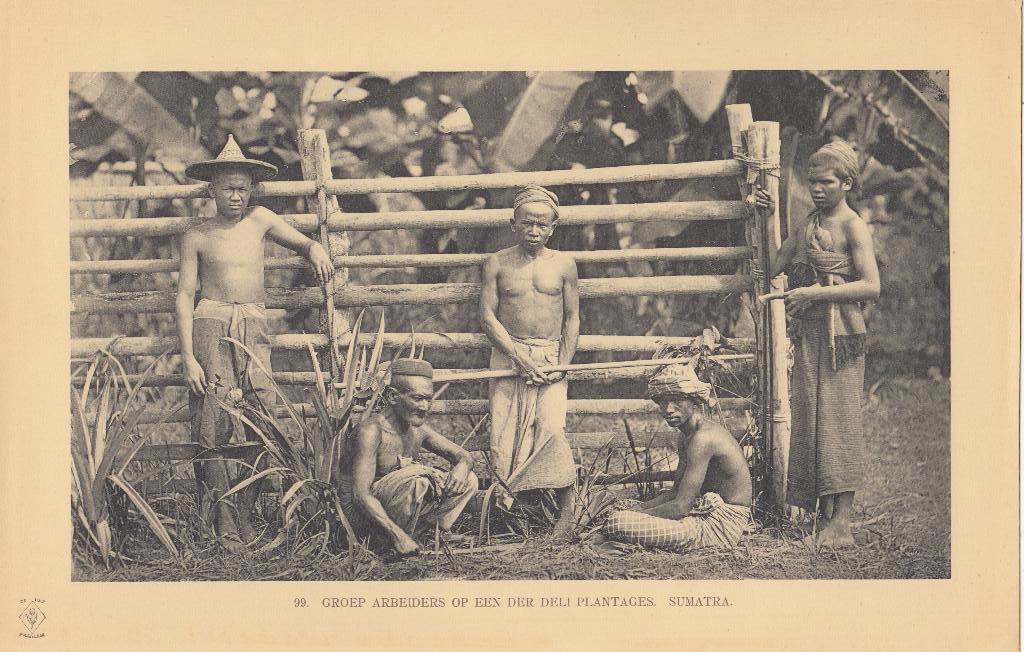 Fotoprent Indonesie Lichtdruk Sumatra Indonesia 1910, Verzenden, Voor 1940, Zo goed als nieuw, Buitenland